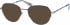 Superdry SDO-MONIKA sunglasses in Black Brown