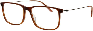ProDesign Denmark DISC 3 glasses in Brown