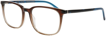 ProDesign Denmark ELATE 2 glasses in Brown