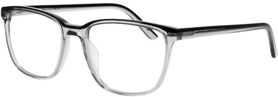 ProDesign Denmark HORISONT 4 glasses in Clear Grey