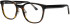 ProDesign Denmark Model 4788 glasses in Brown