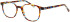 ProDesign Denmark Model 4790 glasses in Orange