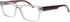 ProDesign Denmark GRANDD 1 glasses in Clear Grey/Tortoise
