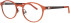 ProDesign Denmark Model 6934 glasses in Orange/Grey