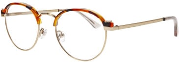 ProDesign Denmark SWITCH 1 glasses in Gold/Tortoise