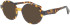 ProDesign Denmark ASH glasses in Tortoise