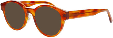 ProDesign Denmark CUT 3 glasses in Light Havana