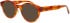 ProDesign Denmark CUT 3 glasses in Light Havana
