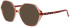 ProDesign Denmark ELATE 1 glasses in Orange