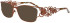 ProDesign Denmark IRIS 3 glasses in Brown