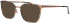 ProDesign Denmark Model 3184 glasses in Brown/Blue