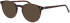 ProDesign Denmark Model 4770 glasses in Brown