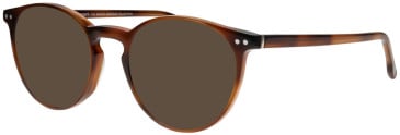 ProDesign Denmark Model 4781 glasses in Brown