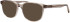ProDesign Denmark Model 4786 glasses in Grey