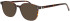 ProDesign Denmark Model 4790 glasses in Tortoise