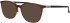 ProDesign Denmark Model 6620 glasses in Brown