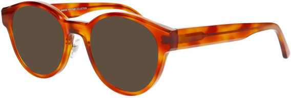 ProDesign Denmark CUT 3 glasses in Light Havana