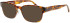 ProDesign Denmark CUT 5 glasses in Havana