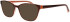 ProDesign Denmark Model 3660 glasses in Brown
