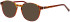ProDesign Denmark Model 4771 glasses in Havana