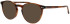 ProDesign Denmark Model 4781 glasses in Brown