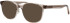 ProDesign Denmark Model 4788 glasses in Grey