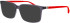 ProDesign Denmark Model 6616 glasses in Grey/Red