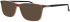 ProDesign Denmark Model 6619 glasses in Brown