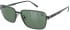 CAT CTSC-0013 CL glasses in Gunmetal/Green Tint