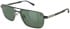 CAT CTSC-0024 CL glasses in Gold