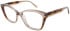 Radley RDO-6061 glasses in Clear Havana/Clear Pink