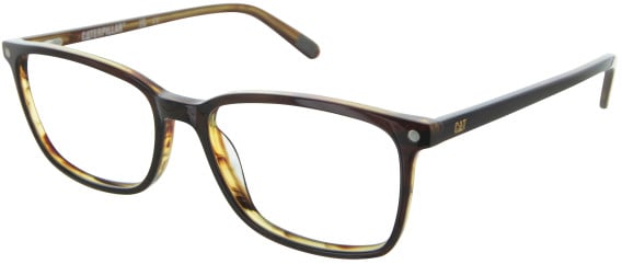 CAT CTSC-0007 glasses in Brown