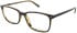 CAT CTSC-0007 glasses in Brown