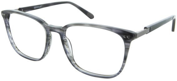 CAT CTO-3134 glasses in Grey/Clear Grey