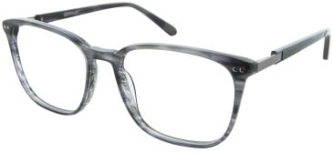 CAT CTO-3134 glasses in Grey/Clear Grey