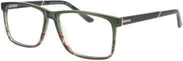 Jaguar 31034 glasses in Green/Brown