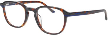 Jaguar 31530 glasses in Brown