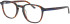 Jaguar 31530 glasses in Brown