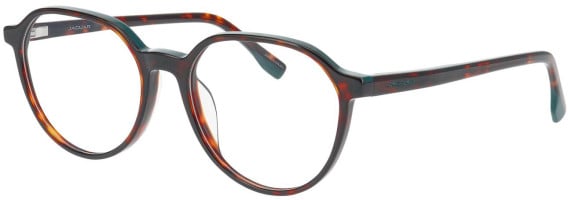Jaguar 31531 glasses in Brown