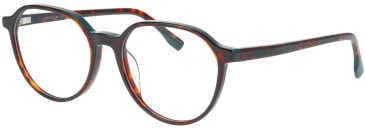 Jaguar 31531 glasses in Brown