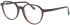 Jaguar 31531 glasses in Brown