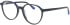 Jaguar 31531 glasses in Black/Blue