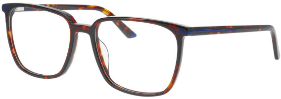 Jaguar 31532 glasses in Brown/Blue