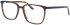 Jaguar 31532 glasses in Brown/Blue