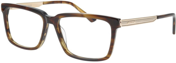 Jaguar 32012 glasses in Tortoise/Gold