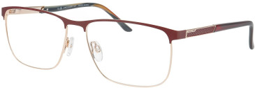 Jaguar 33129-61 glasses in Burgundy/Gold
