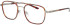 Jaguar 33659 glasses in Brown