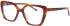 Joop 81240 glasses in Brown