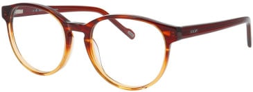 Joop 81242 glasses in Brown