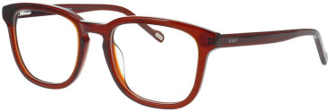 Joop 81245 glasses in Brown